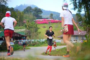 BIB: 
                            <button type="button" onclick="openModal(19192370)" class="btn btn-primary btn-sm float-right btn-popup" data-toggle="modal" data-target=".modal-high-quality">
                        <i class="fas fa-shopping-cart"></i> Add to Cart
                    </button>
                                            <button type="button" onclick="isThisMe(19192370, true)" class="btn btn-success btn-sm float-right btn-popup btn-isme hidden" data-toggle="tooltip" data-placement="bottom" title="นี่คือรูปของคุณใช่ไหม คลิกที่นี่เพื่อเอาเข้าอัลบั้ม">
                        <i class="fas fa-plus"></i> Add to album
                    </button>
                    <button type="button" onclick="isThisMe(19192370, false)" class="btn btn-warning btn-sm float-right btn-popup btn-isnotme hidden">
                        <i class="fas fa-ban"></i> Remove from album
                    </button>